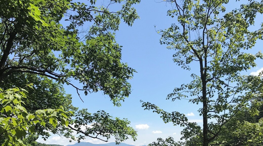 #aboveitall #lifeatexpedia Catawba Falls near Asheville, NC!