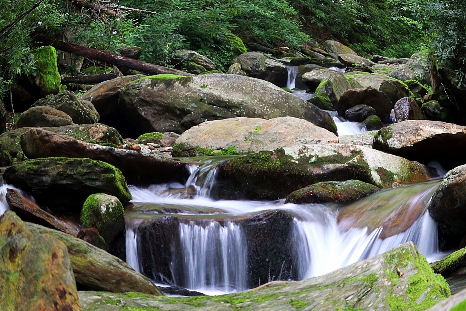 This photo is taking in the Pisgah national Forest at Curtis Creek. It's not too far from my home so I go there often and every time I go I find a different shot to take. It's a photographers dream