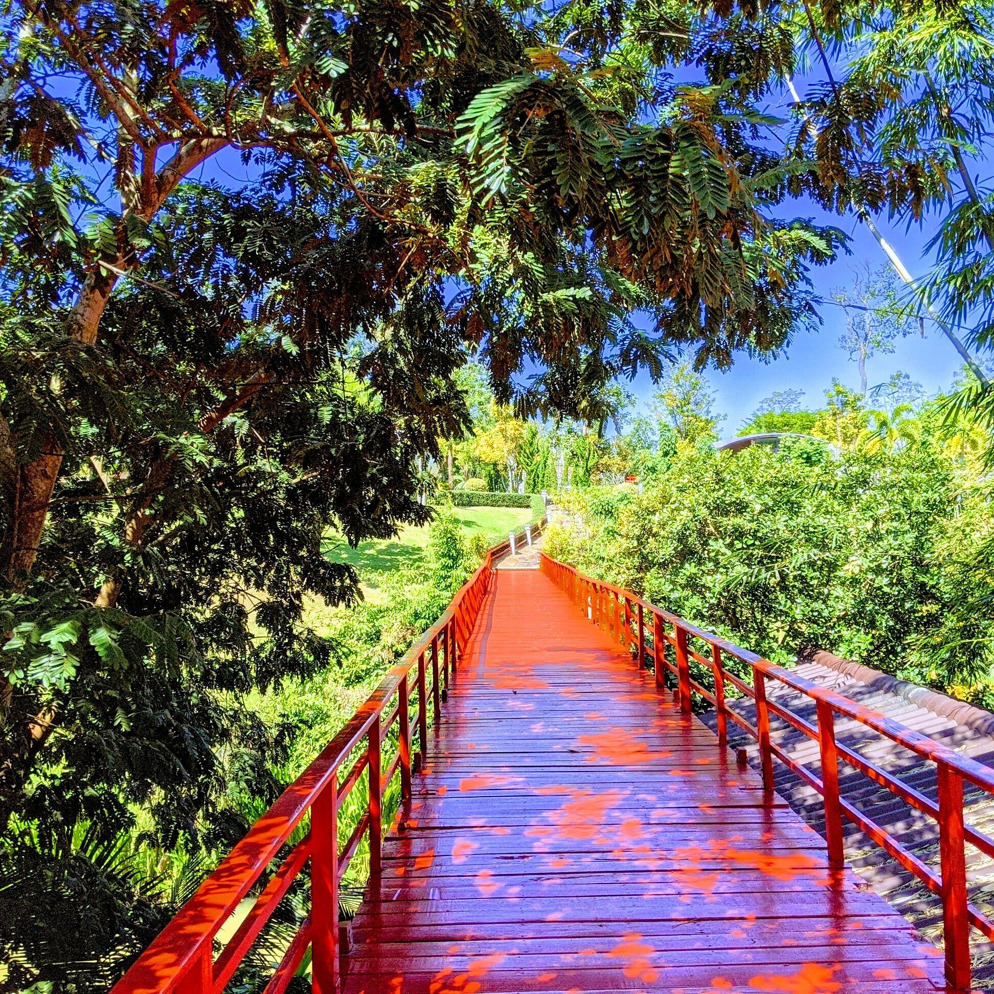 A nice walk at the gorgeous resort