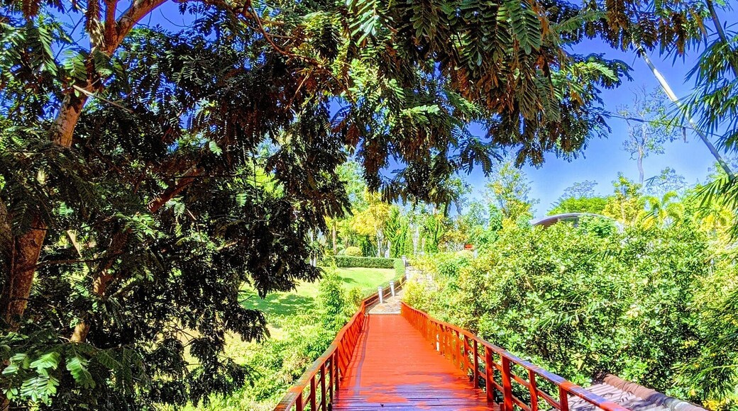 A nice walk at the gorgeous resort