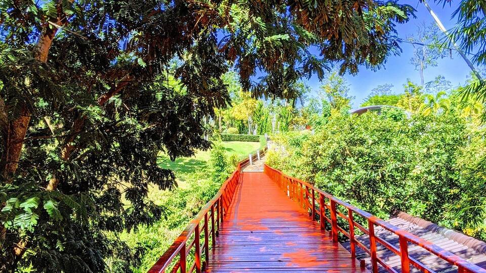 A wooden bridge with red railings surrounded by lush greenery.