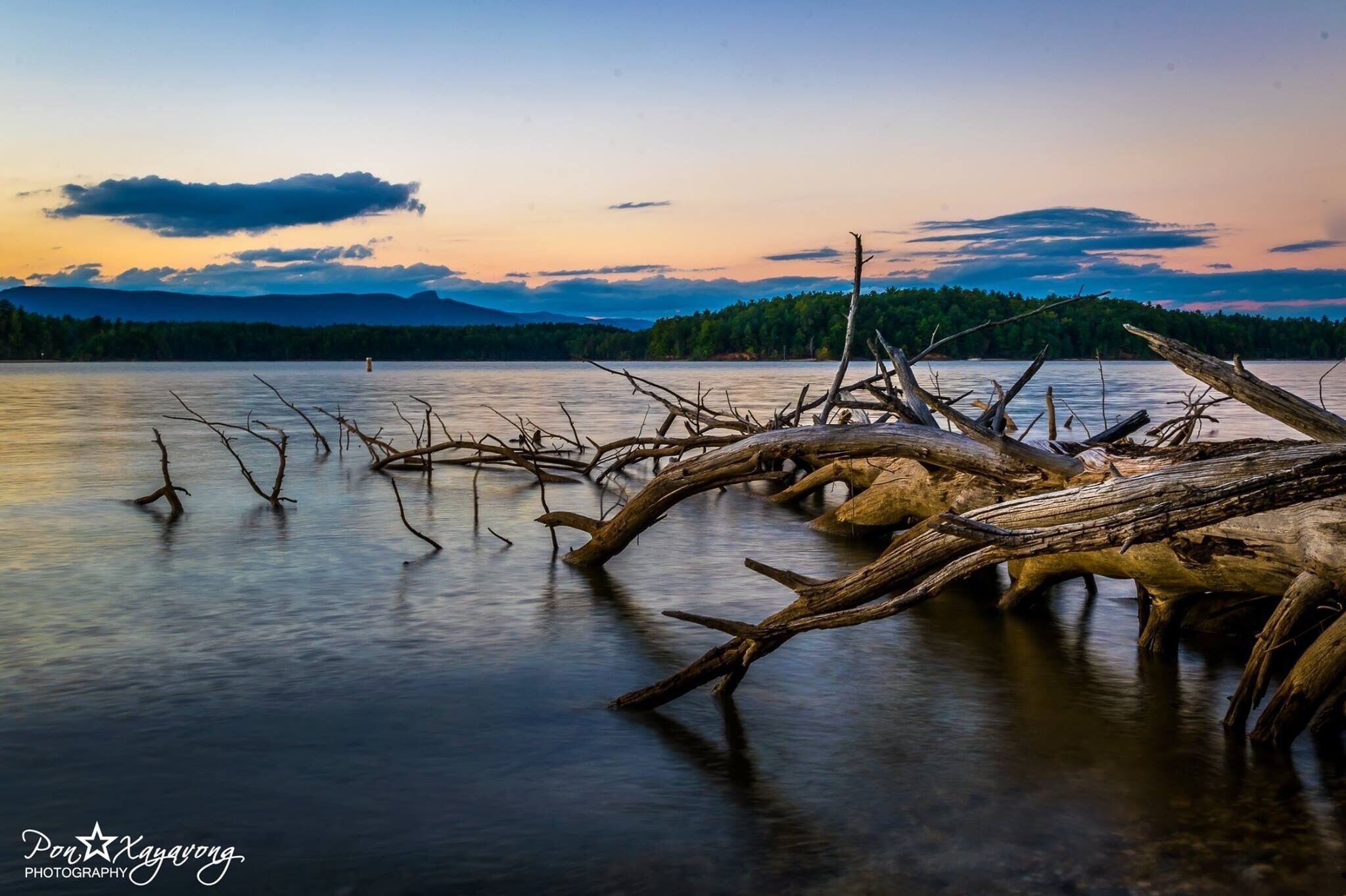 A sunset over a calm lake with fallen trees and a forested shoreline.