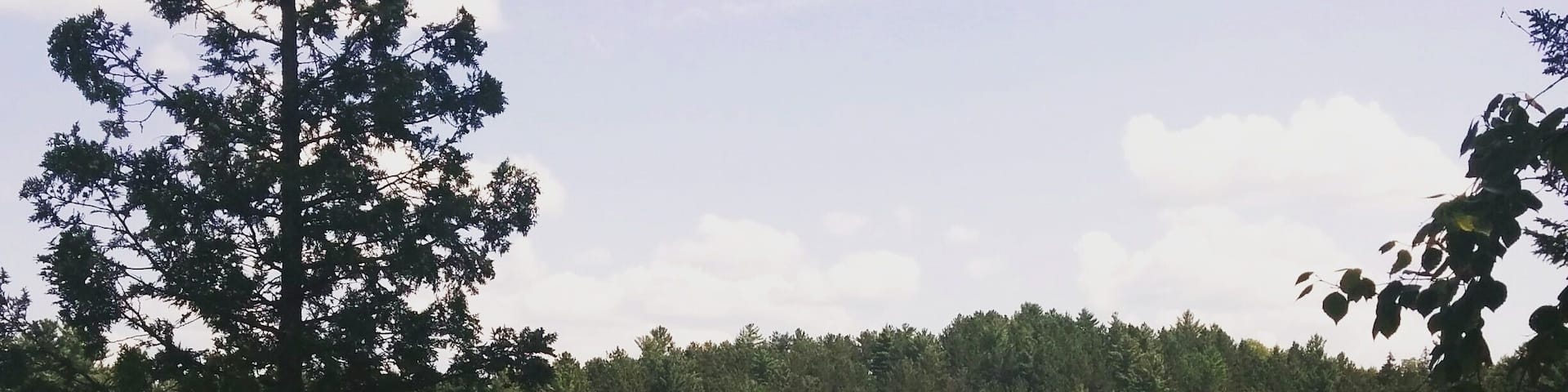 Lac Cyrille, Chertsey.