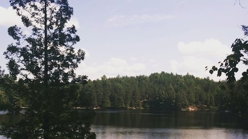 Lac Cyrille, Chertsey.