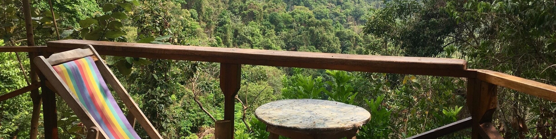 #green Jungle views in Minca, Colombia