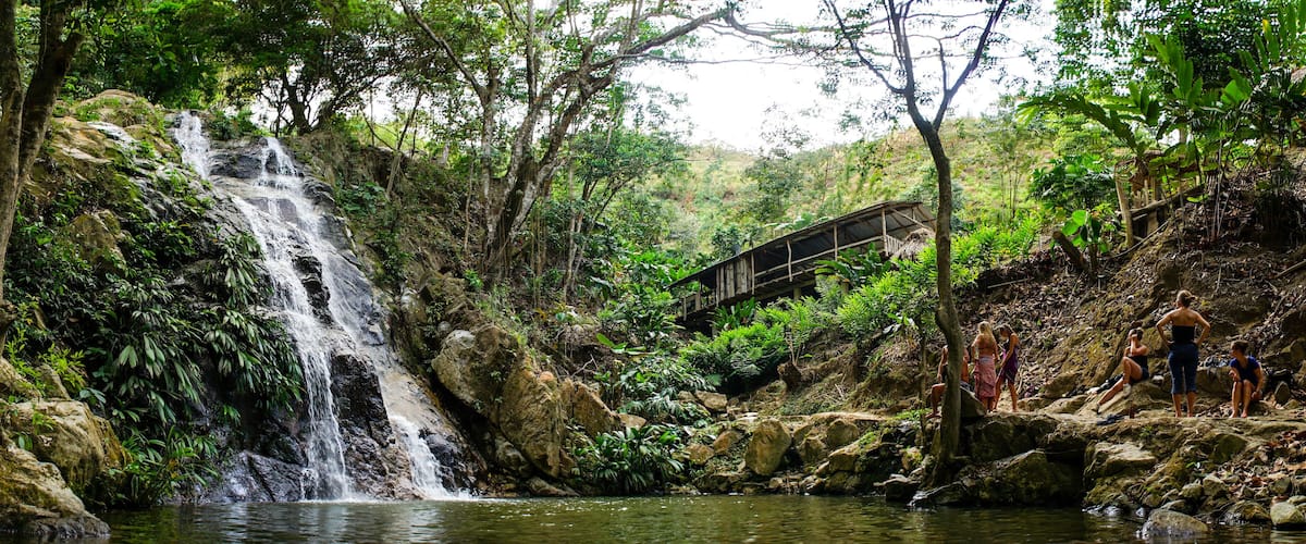A waterfall cascading into a pool surrounded by lush greenery and a wooden bridge.