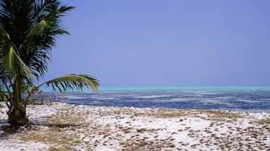 Kavaratti Island, Lakshadweep, India.