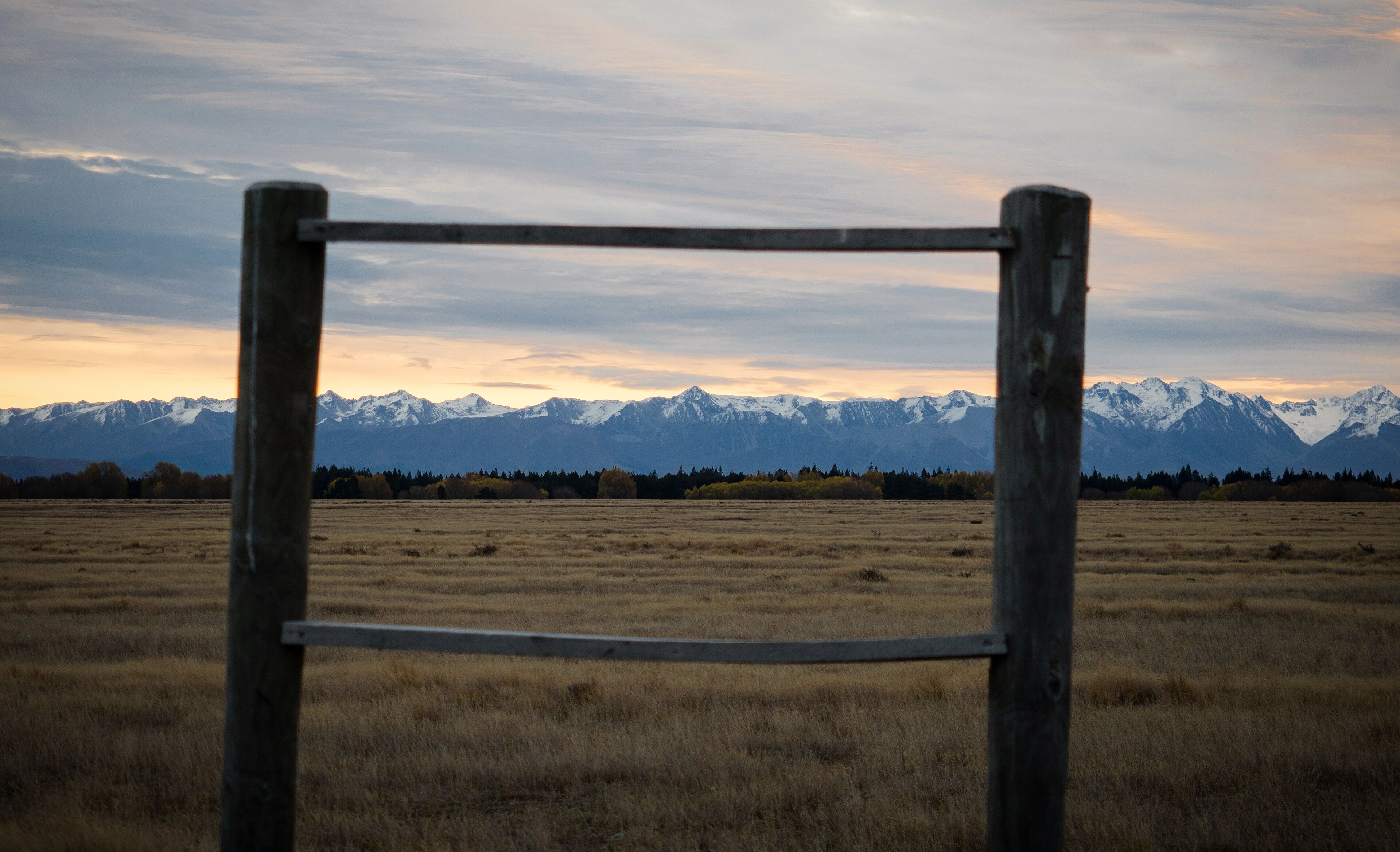 A metal gate in a field with a mountain range in the background.