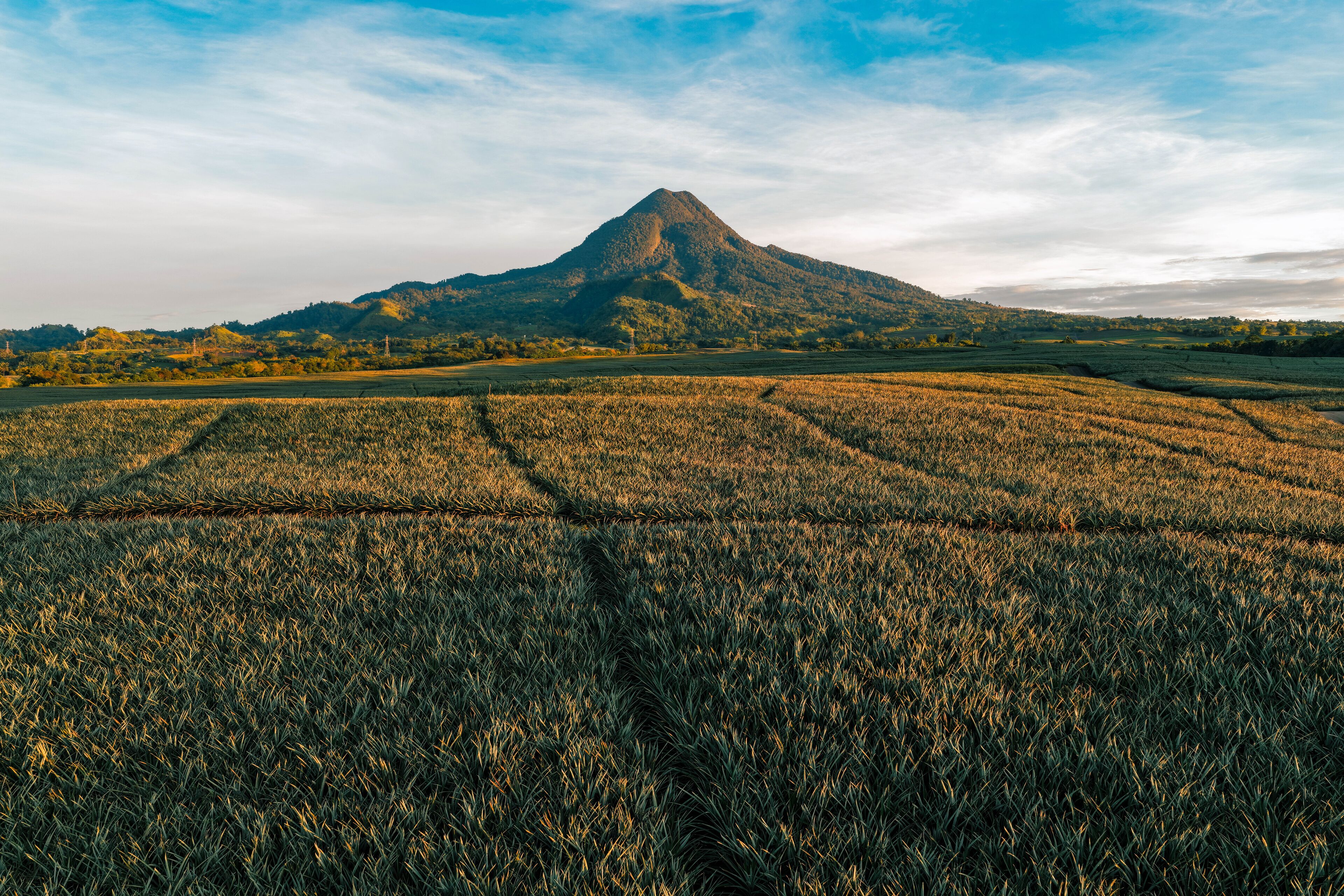 Aerial view of the majestic Mount Matutum towering over the expansive pineapple fields, casting long shadows in the golden light, Polomolok, SOCCSKSARGEN, Philippines.