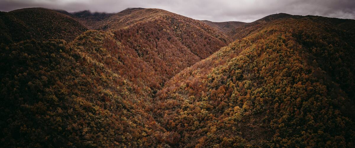 A mountainous landscape with dense forests and a cloudy sky.