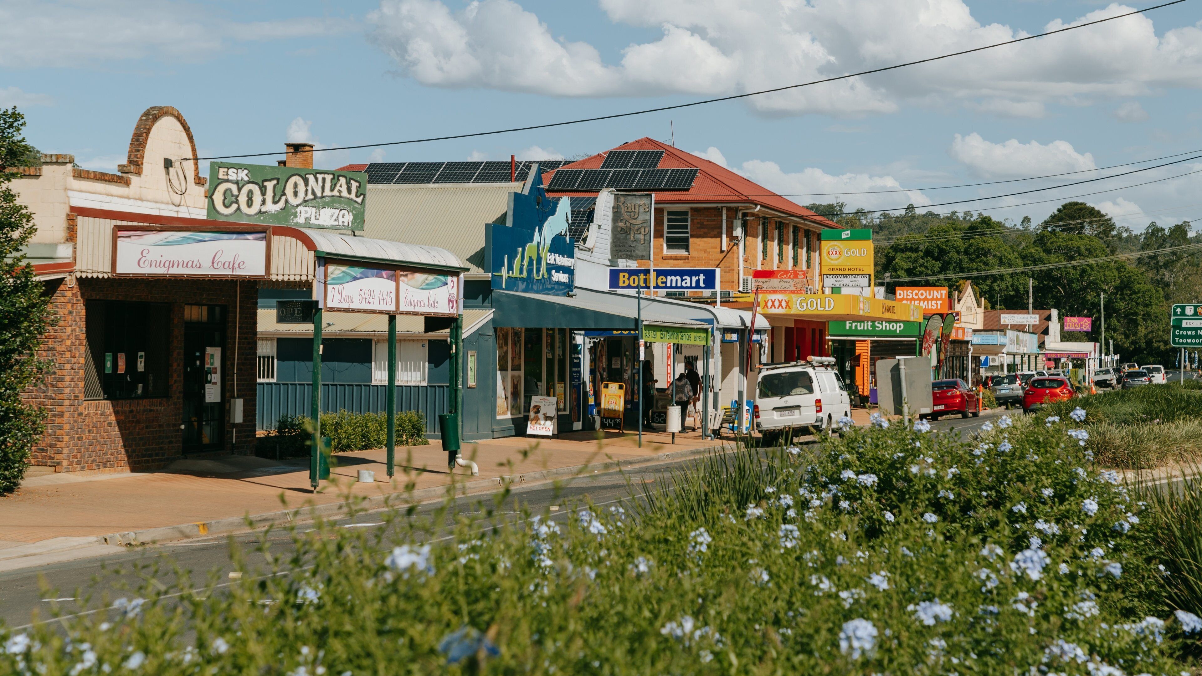 Esk showing wildflowers and a small town or village