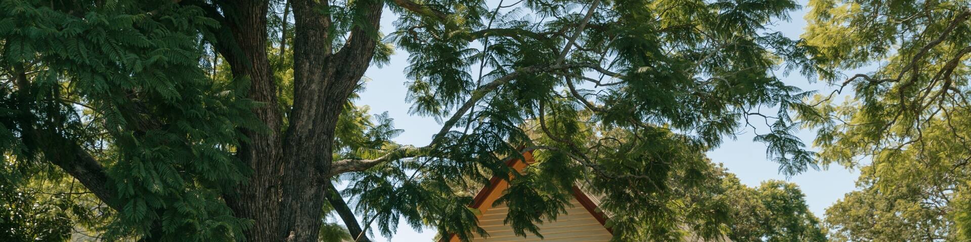 Esk featuring a church or cathedral