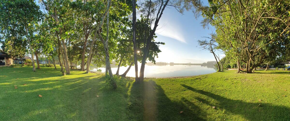 A park with a lake, trees, and a grassy area.