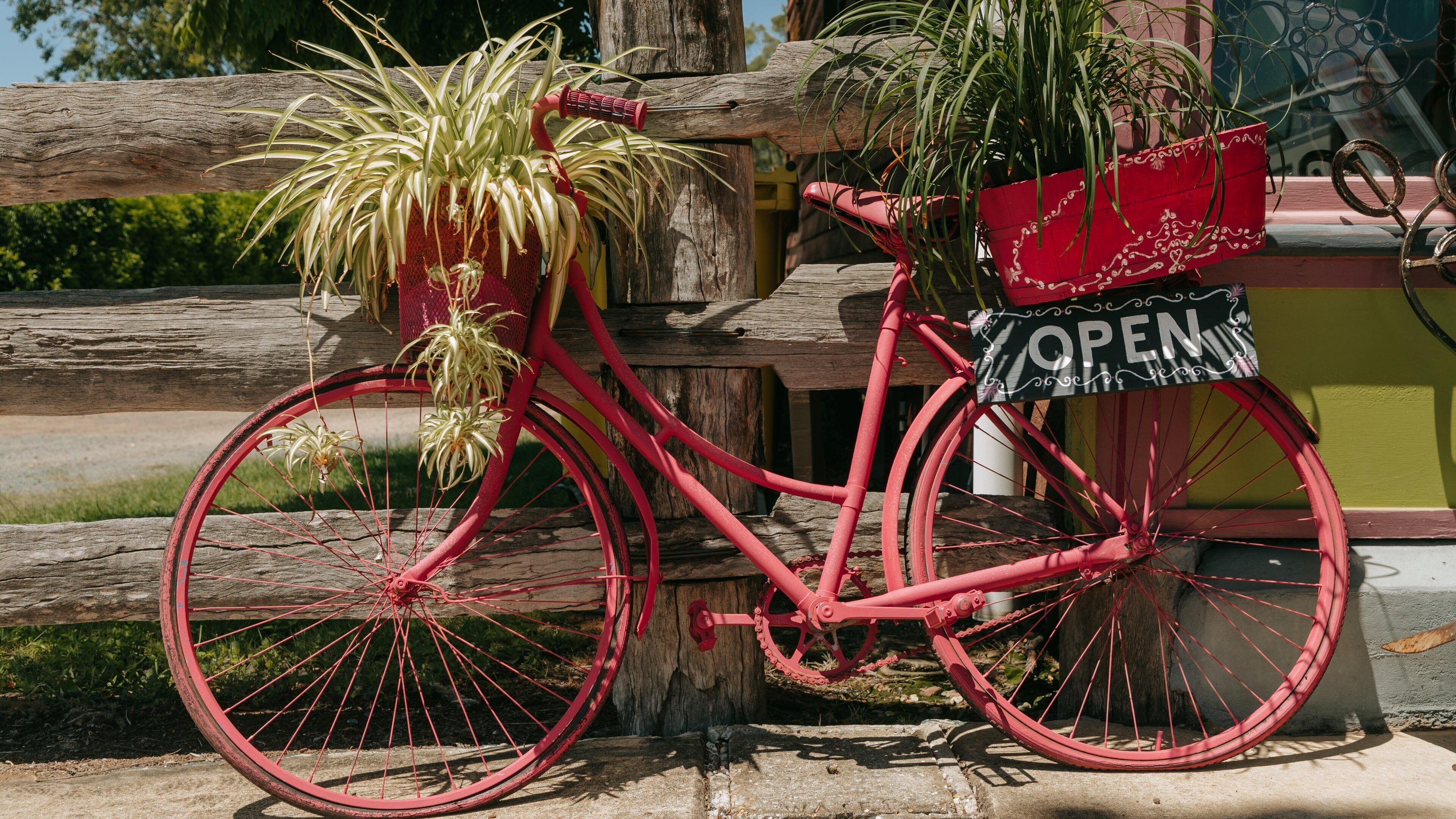 A red bicycle with a basket containing plants and a sign that says "OPEN".