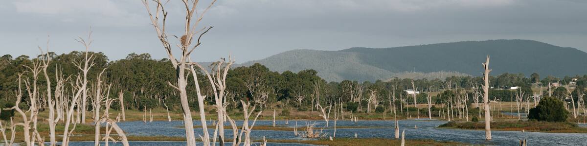 Kilcoy which includes a river or creek and wetlands