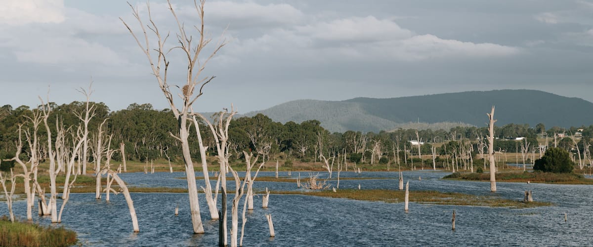 Kilcoy which includes a river or creek and wetlands