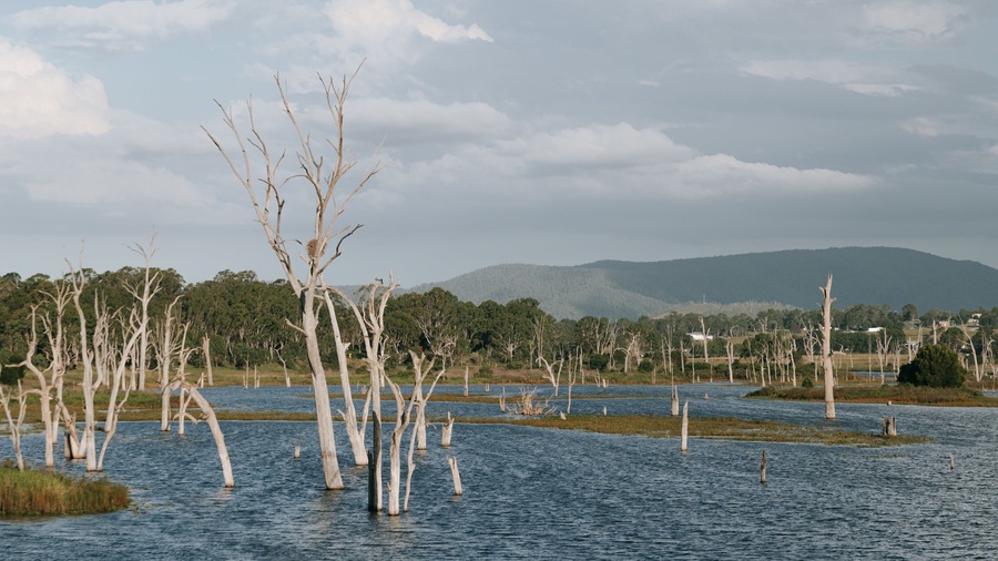 Kilcoy which includes a river or creek and wetlands