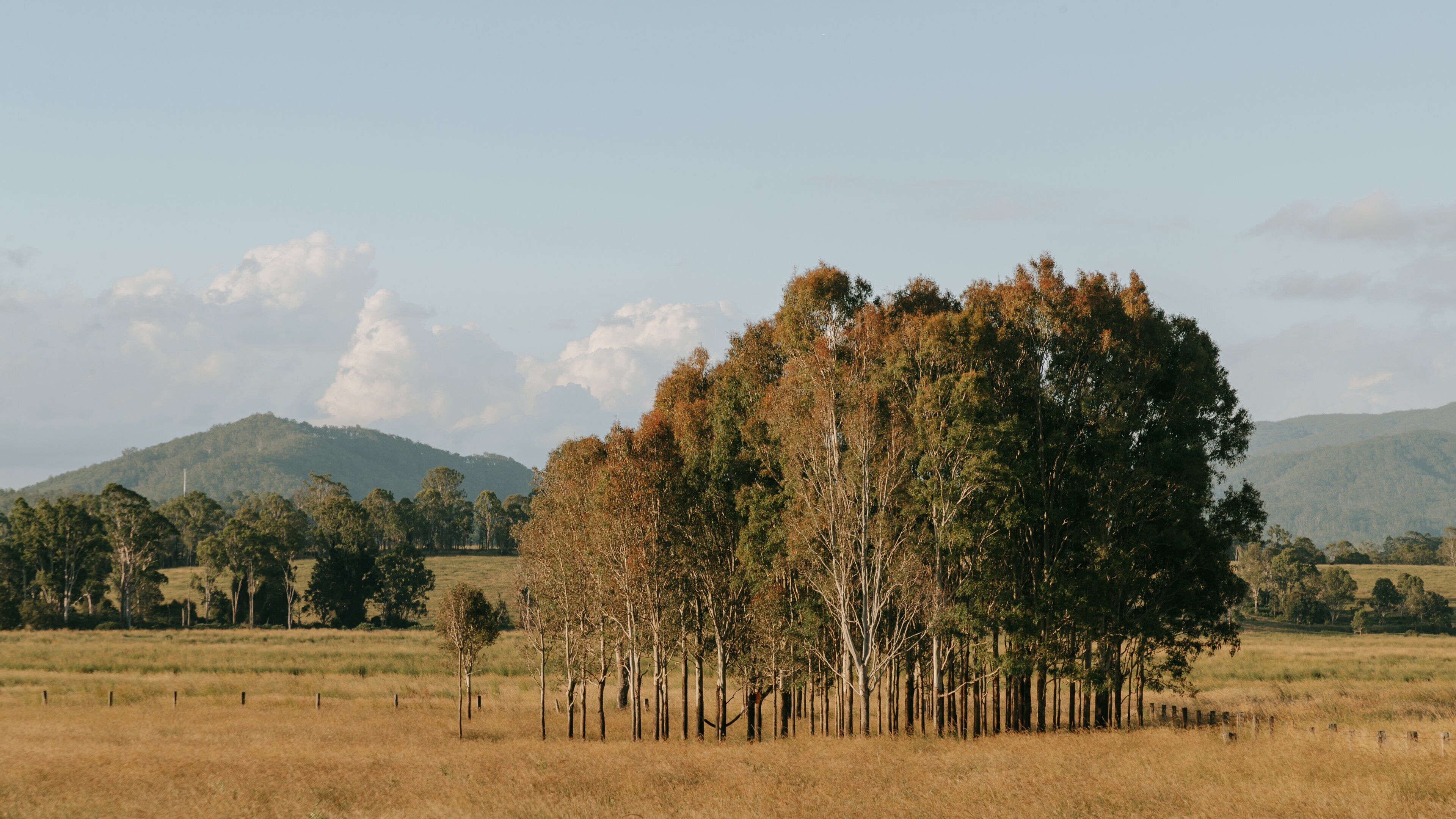 Kilcoy showing tranquil scenes