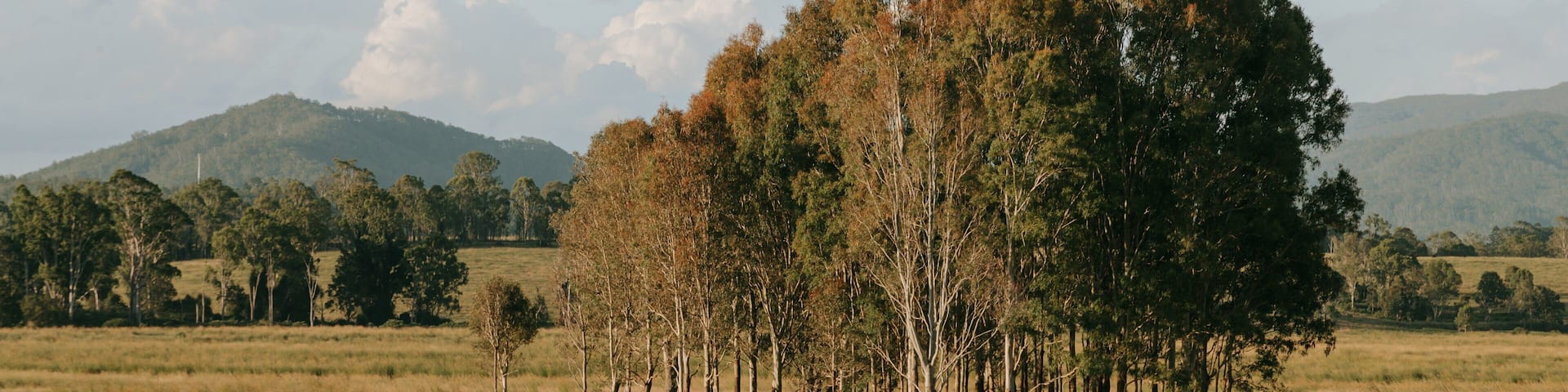 Kilcoy showing tranquil scenes