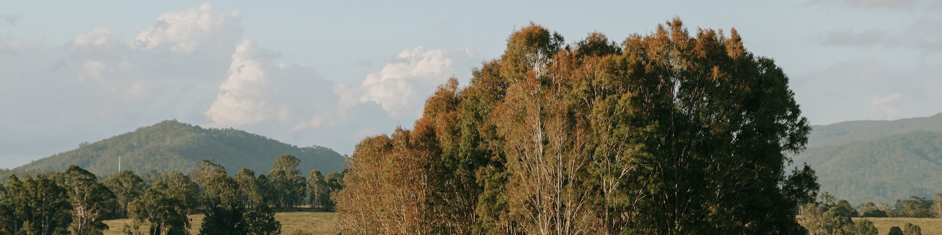 Kilcoy showing tranquil scenes