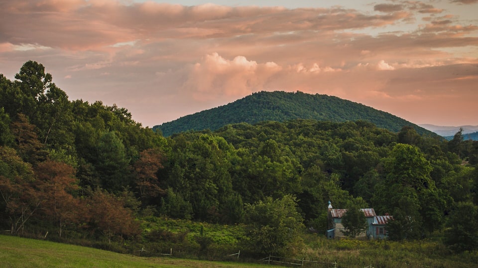 A lush green landscape with a hill, a small building, and a fence.