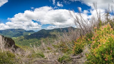 View of Mountains in Binna Burra Section of Lamington National Park, Queensland, Australia.