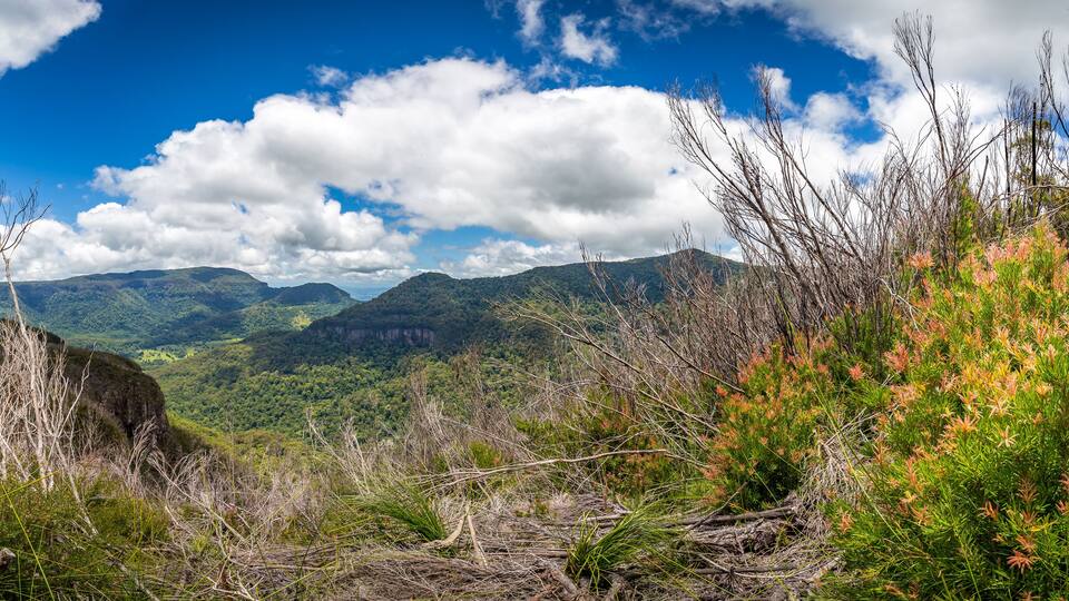 View of Mountains in Binna Burra Section of Lamington National Park, Queensland, Australia.
