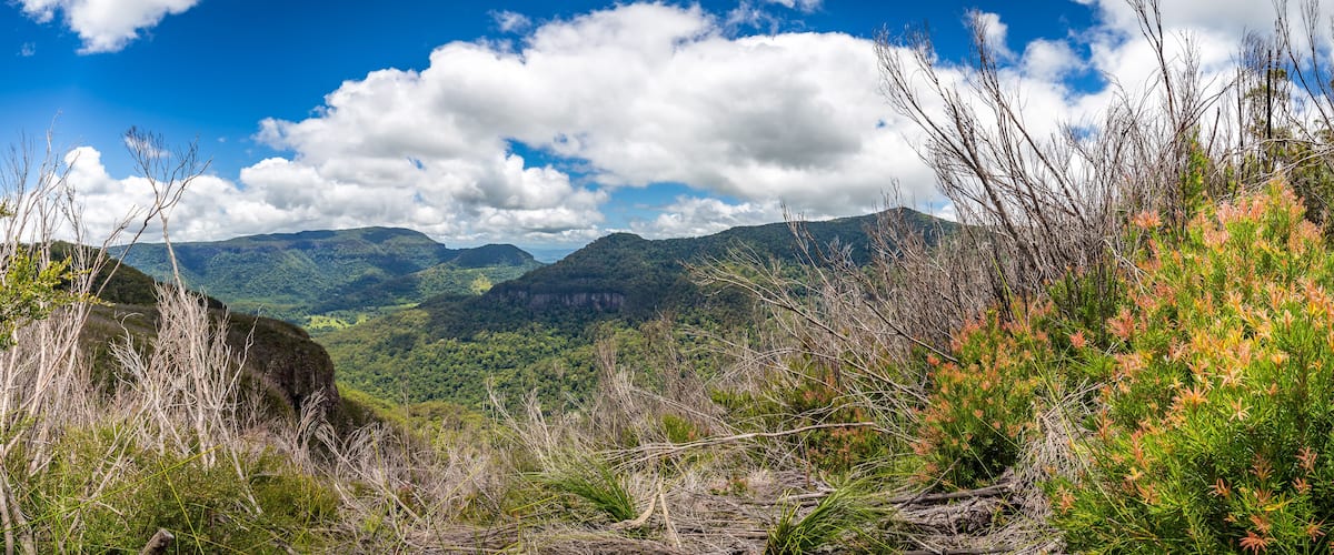 A mountainous landscape with dense greenery and a clear blue sky.