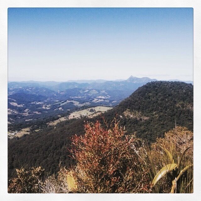 The Araucaria Lookout track is a 17.8km hike in the Lamington National Park, departing from Binna Burra. #hiking