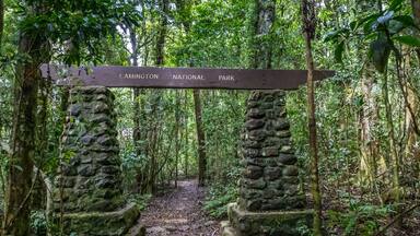 Un panneau indicateur en bois portant l’inscription « Parc national de Laminton », entouré d’une forêt dense.