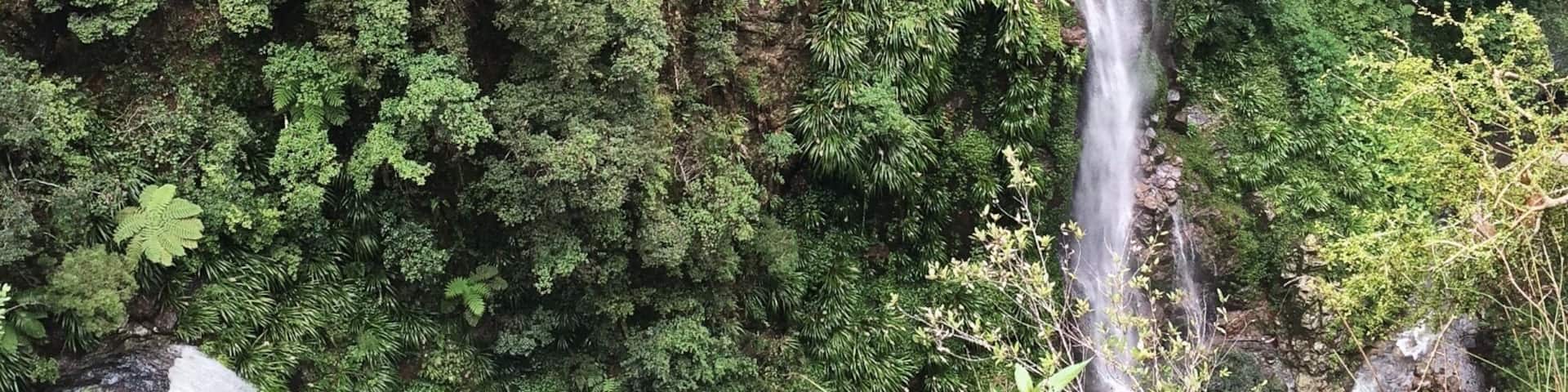 Just 6kms from the Binna Burra campsite, walking along the Coomera Circuit you'll find the lookout to these amazing falls (aptly named Coomera Falls)! I turned back after this - heavy rains made for some amazing waterfalls but deterred me from taking on the various river crossing along the circuit walk.