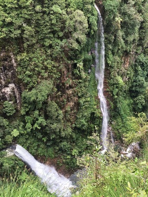 Just 6kms from the Binna Burra campsite, walking along the Coomera Circuit you'll find the lookout to these amazing falls (aptly named Coomera Falls)! I turned back after this - heavy rains made for some amazing waterfalls but deterred me from taking on the various river crossing along the circuit walk.