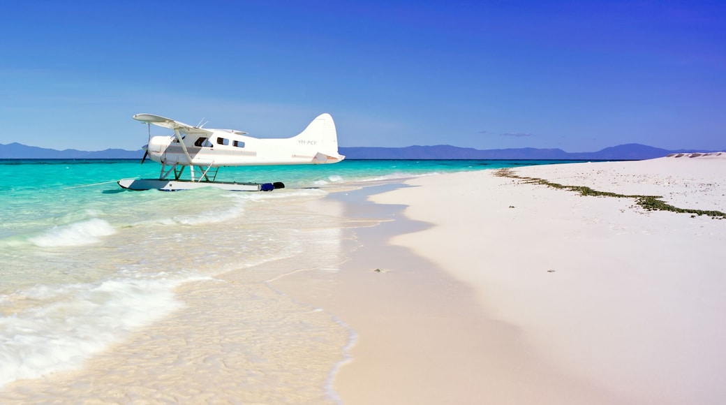 Un hidroavión blanco en una playa turquesa y cristalina, con montañas al fondo.