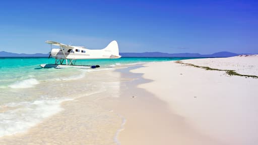 Un hidroavión blanco en una playa turquesa y cristalina, con montañas al fondo.