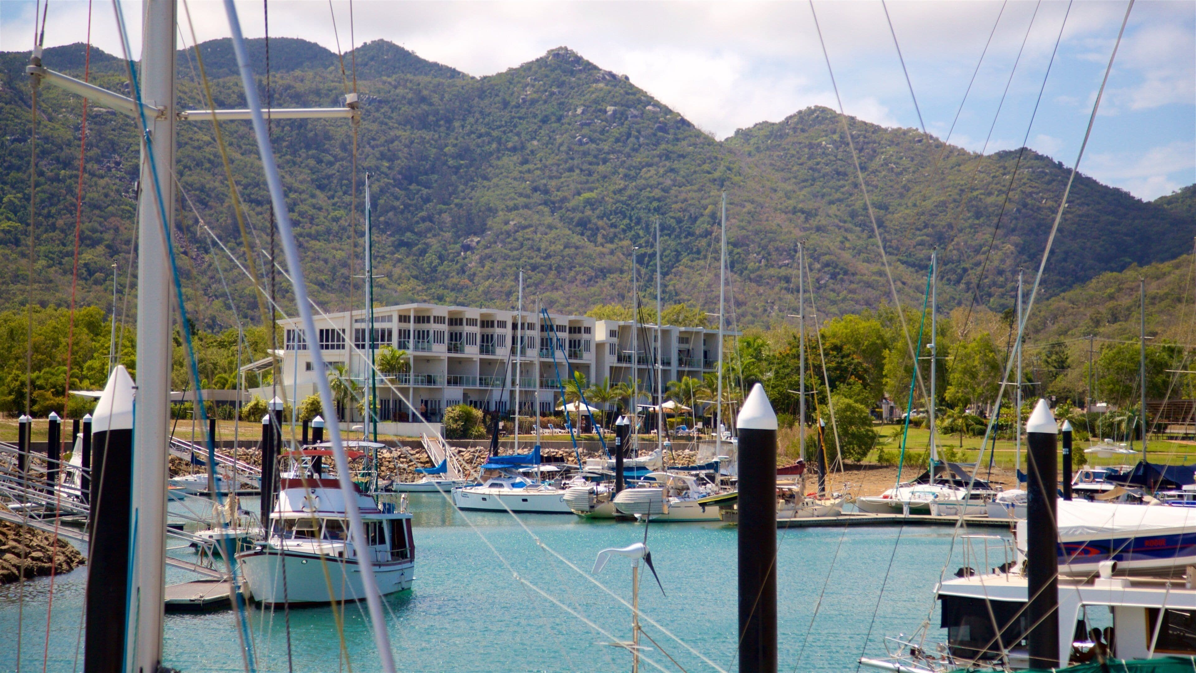 Nelly Bay welches beinhaltet Bucht oder Hafen und ruhige Szenerie