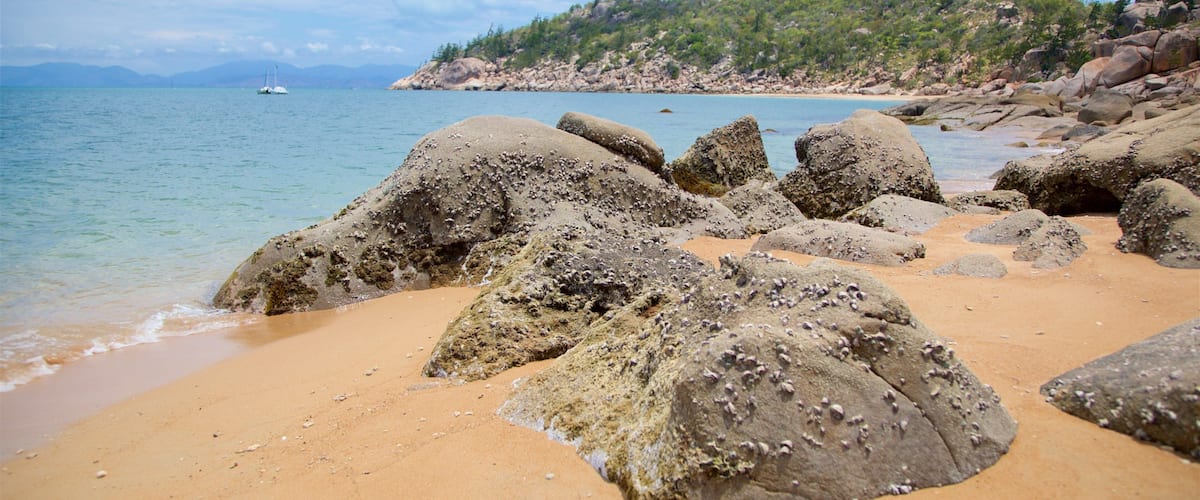 Nelly Bay montrant vues littorales, plage de sable et côte rocheuse