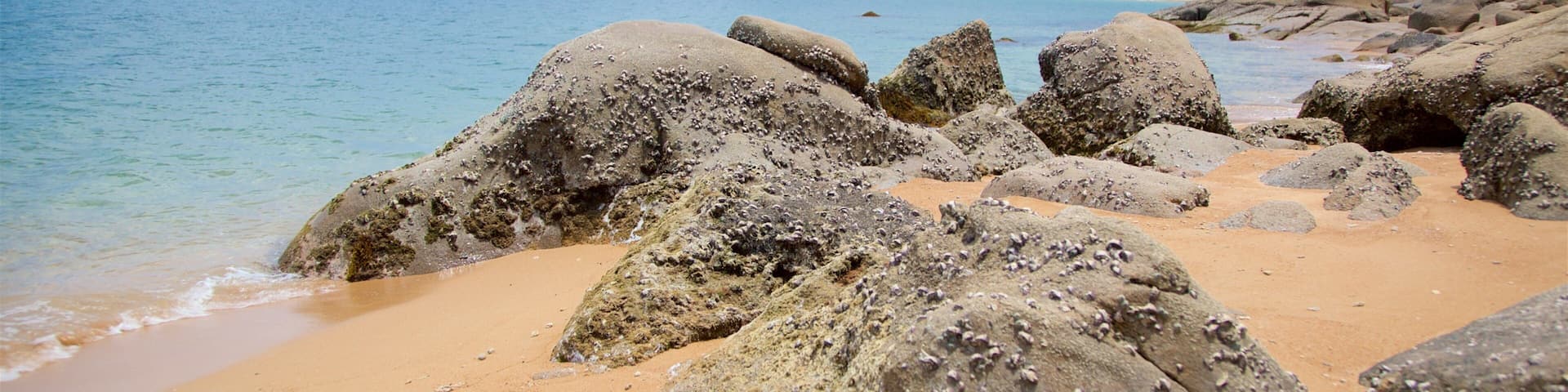 Nelly Bay showing rocky coastline, general coastal views and a beach
