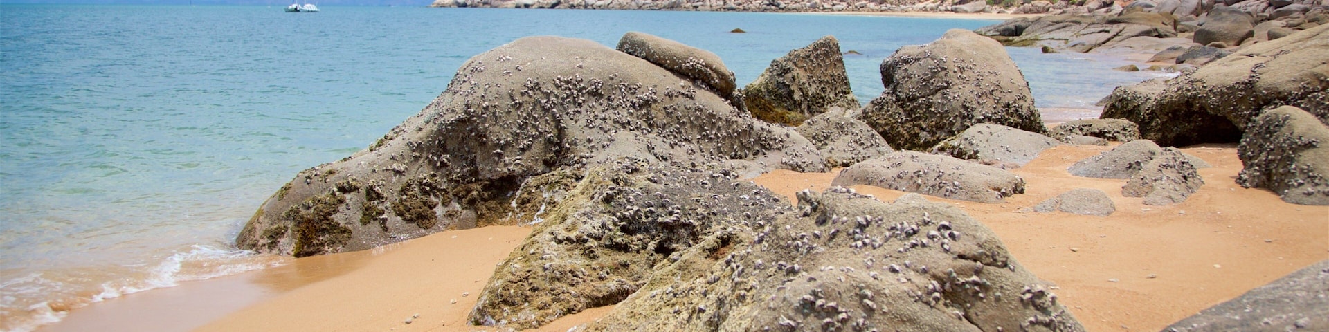 Nelly Bay which includes general coastal views, rocky coastline and a sandy beach