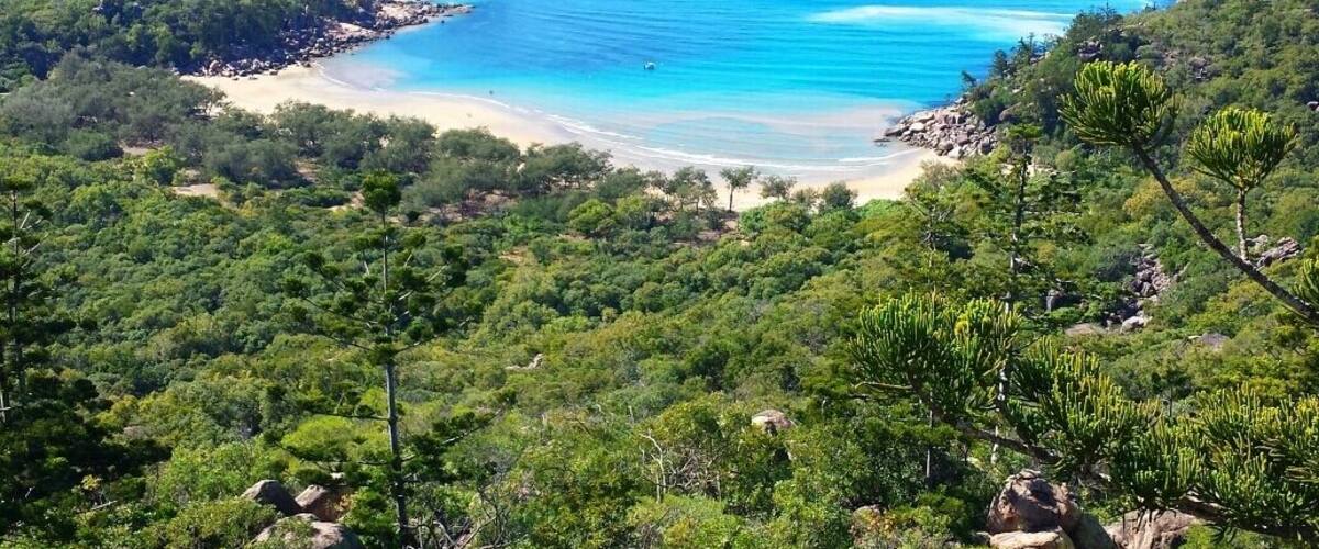 View from The Forts Walk on Magnetic Island, Queensland, Australia.
It's a 2 hour loop walk and also a great spot to see koalas in the wild.