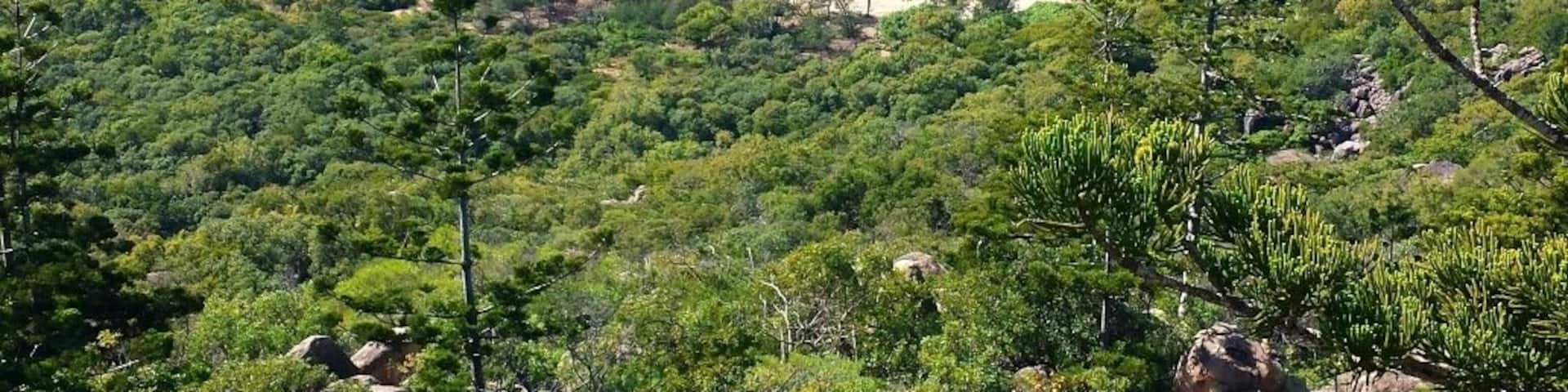 View from The Forts Walk on Magnetic Island, Queensland, Australia.
It's a 2 hour loop walk and also a great spot to see koalas in the wild.
