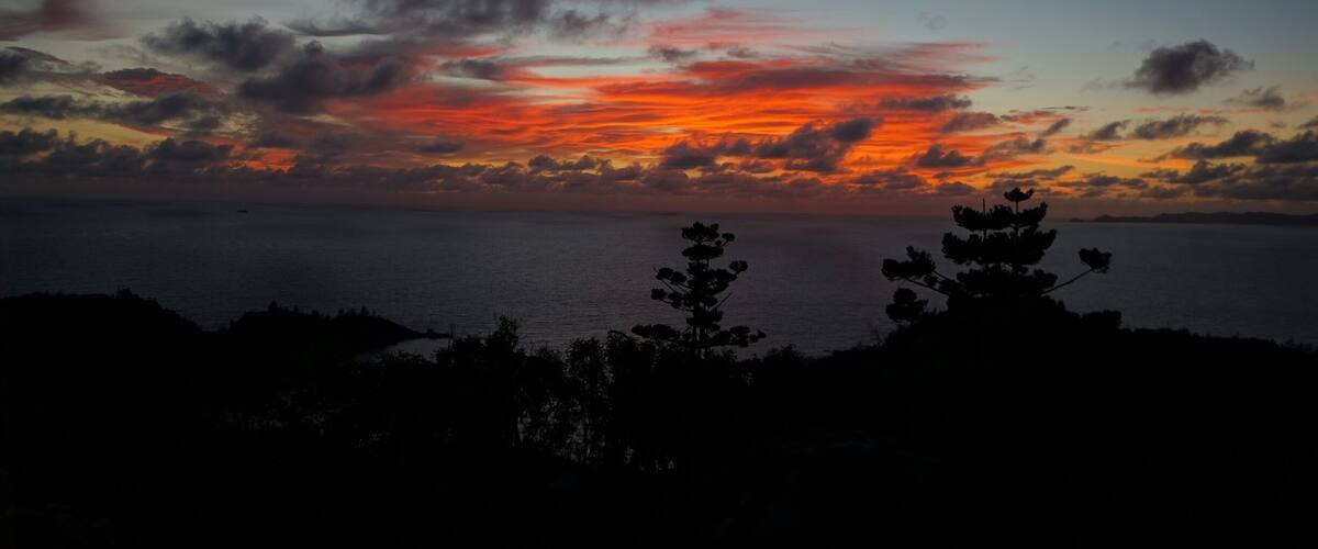 A sunset over the ocean with silhouetted trees in the foreground.