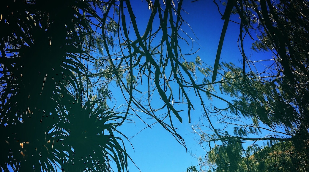 Magnetic Island, FNQ has a lot of great days... beaches and plenty of Sunshine to make any person smile! :)