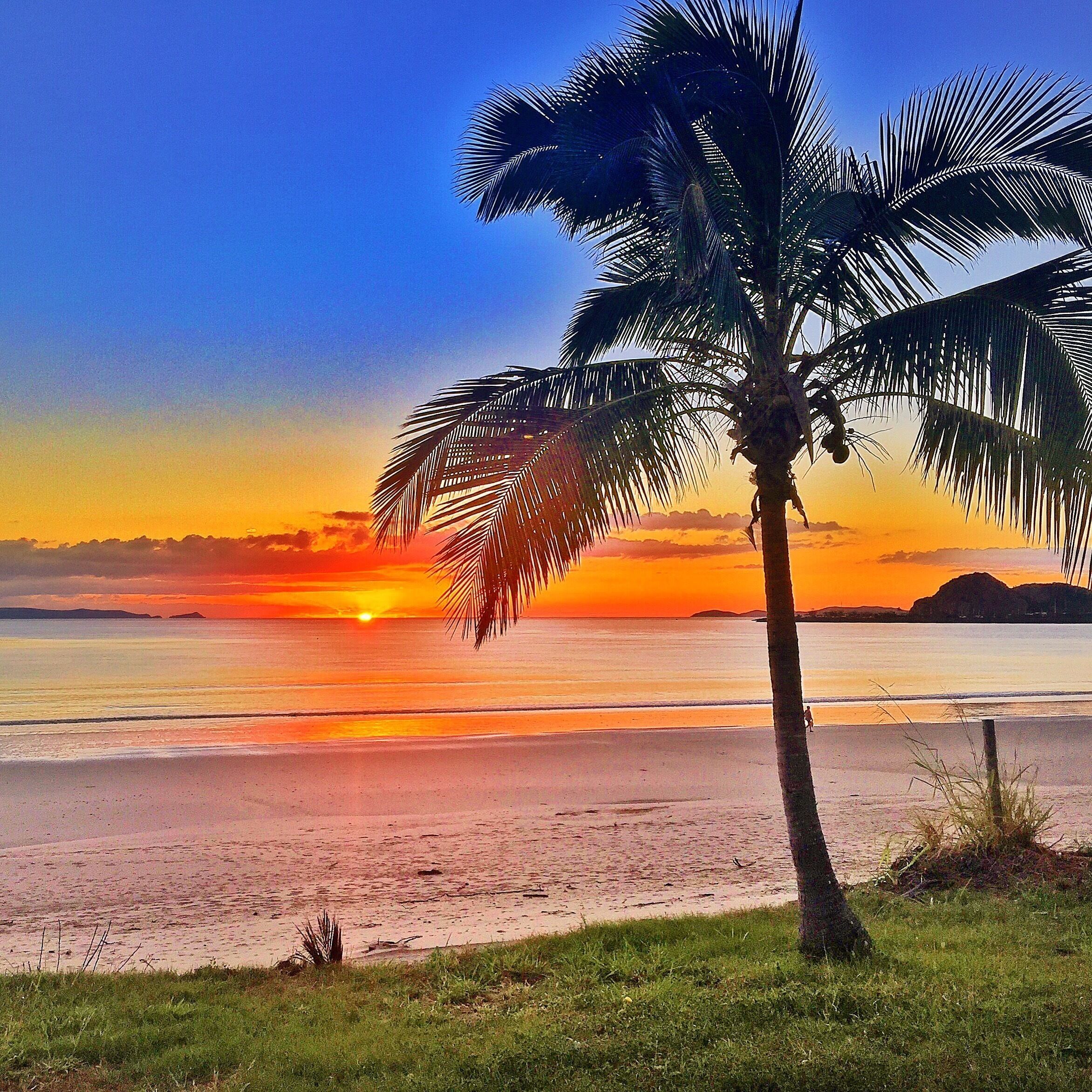 A sunset over a beach with palm trees and calm waters.
