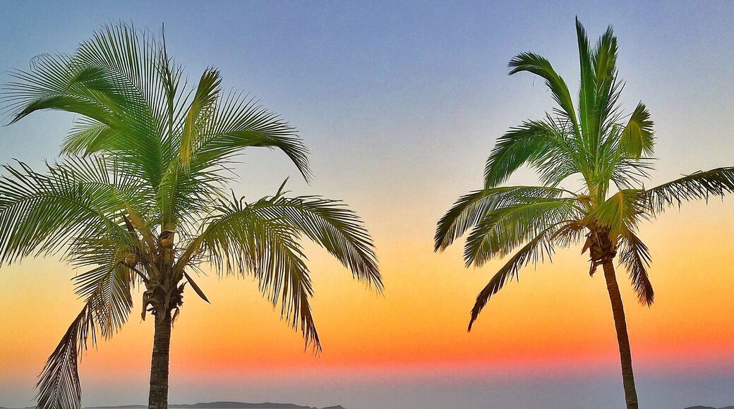 Sunset over Lammermoor Beach! Love this palm tree lined stretch of the Capricorn Coast, looking forward to getting out and exploring more of this tropical paradise again tomorrow! 🌅🐠🐟🌴😀
#visitcapricorn #thisisqueensland #seeaustralia
