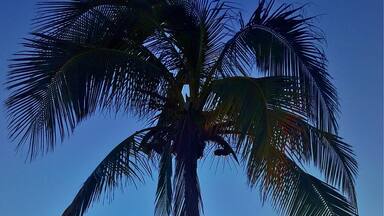 A little ray of sunshine! 🌅🌴🐠😀
#southerngreatbarrierreef #thisisqueensland #seeaustralia