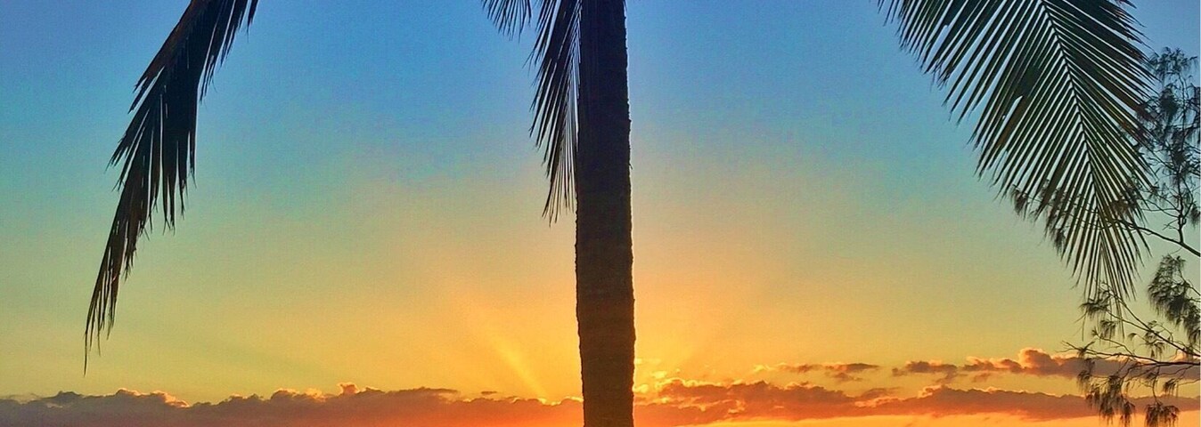 A little ray of sunshine! 🌅🌴🐠😀
#southerngreatbarrierreef #thisisqueensland #seeaustralia