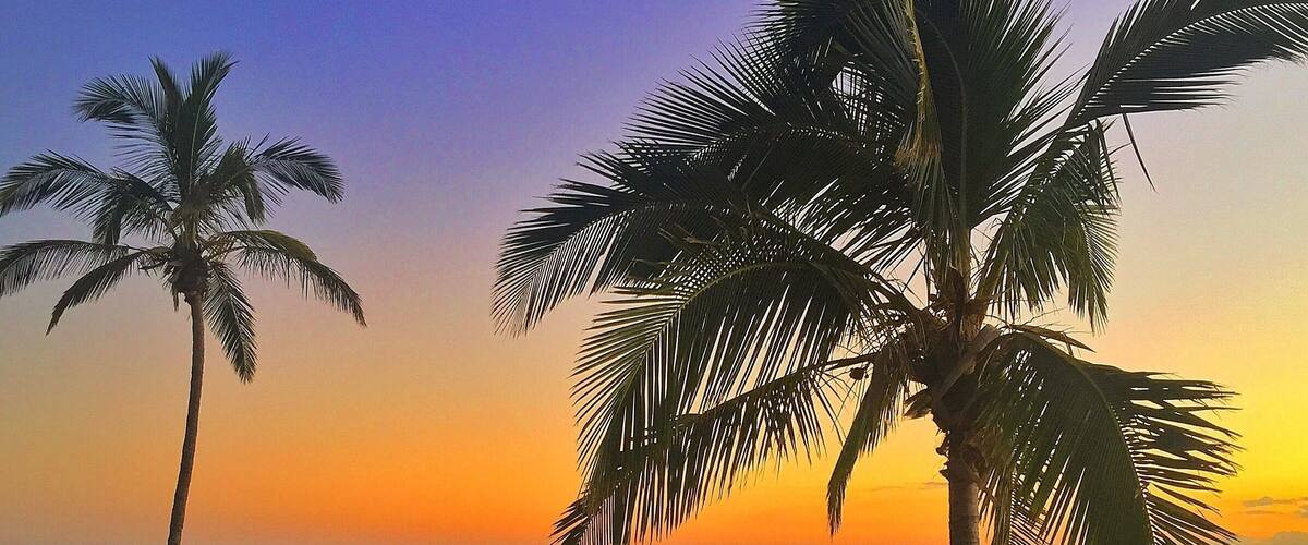Happy Friday! 🌅🌴 The weekend is so close now I can almost taste it! Have a great one! ☀️🐠🐟🐢🌴😀
#southerngreatbarrierreef #thisisqueensland #seeaustralia