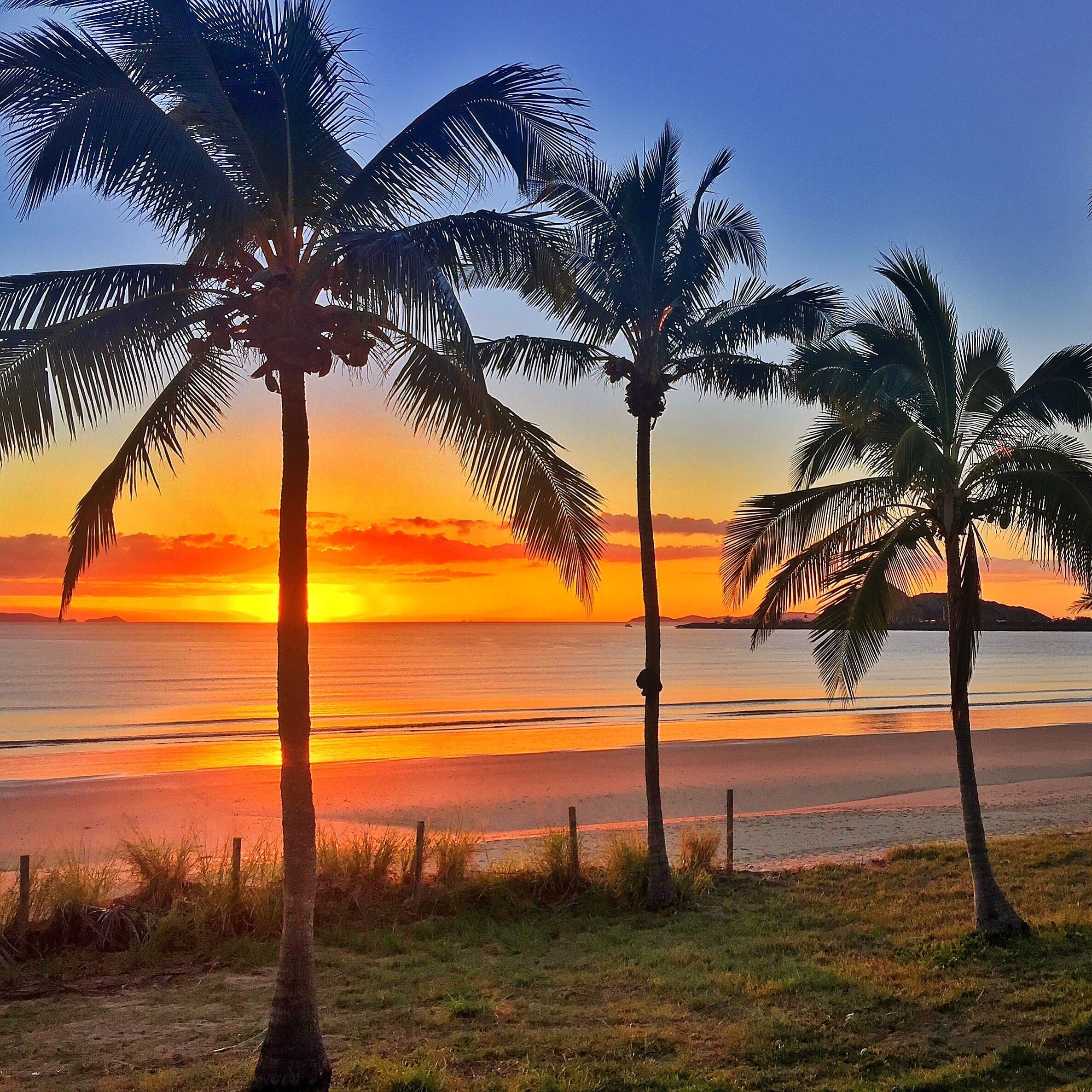 Tropical sunrise at Lammermoor Beach! 🌅🌴 The views here over the #SouthernGreatBarrierReef really are amazing! It doesn't get much better than this! 🌅🌴🐠🐟😀
#visitcapricorn #thisisqueensland #seeaustralia 