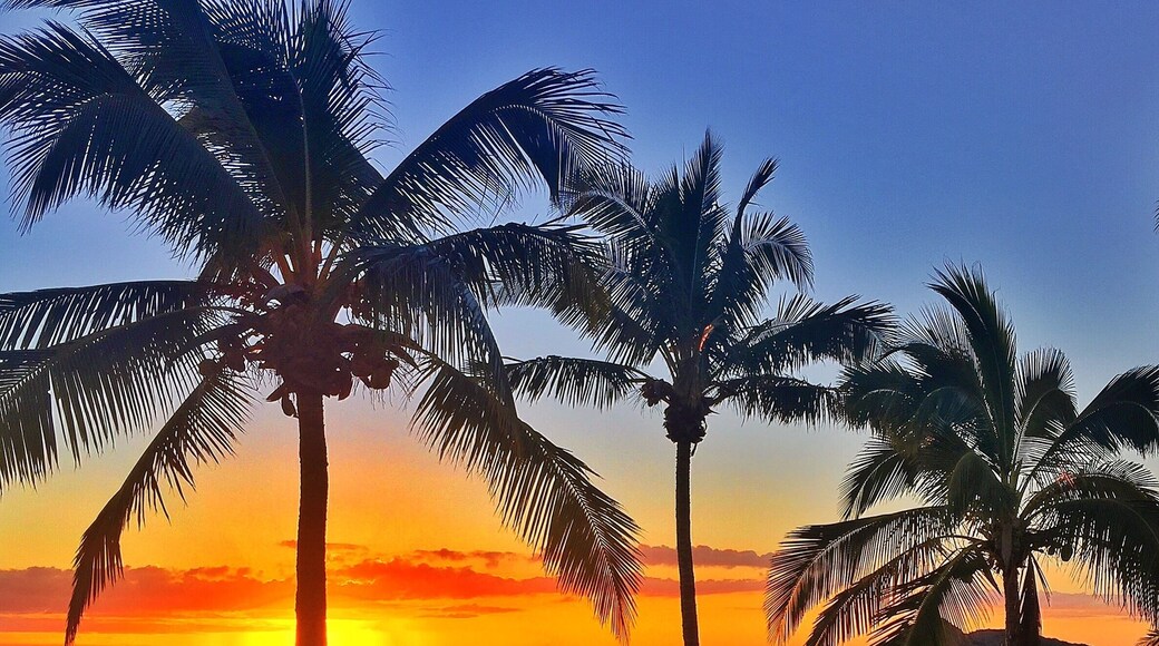 Tropical sunrise at Lammermoor Beach! 🌅🌴 The views here over the #SouthernGreatBarrierReef really are amazing! It doesn't get much better than this! 🌅🌴🐠🐟😀
#visitcapricorn #thisisqueensland #seeaustralia
