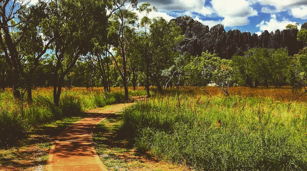 This is an old one, from 2016. But the experience of walking through the Chillagoe Caves and seeing the beauty of country surrounding was worth the 4-5hour drive. Very relaxing, peaceful and so natural. Worth a trip if ever in NQ.